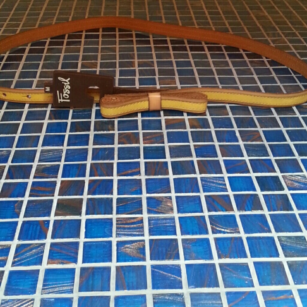 A great christmas gift:  Fossil belt. NWT